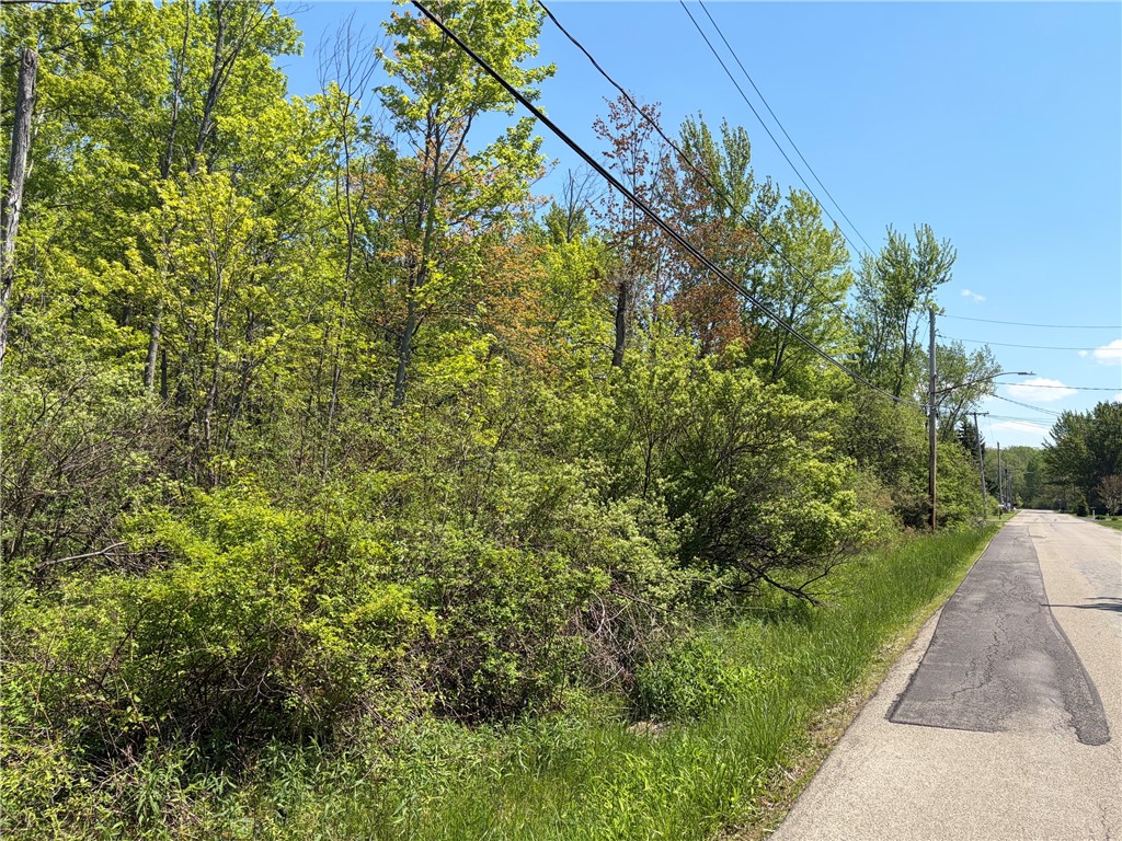 Waterman Road Evans, NY 14006 - Photo 2 of 17