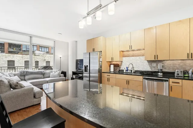 $2,650 | 215 10th Avenue South, Unit 333, Minneapolis, MN 55415