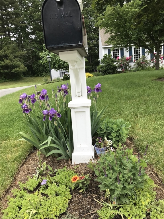 7 Rooks Way Westford, MA 01886 - Photo 41 of 42