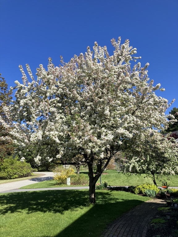 7 Rooks Way Westford, MA 01886 - Photo 42 of 42