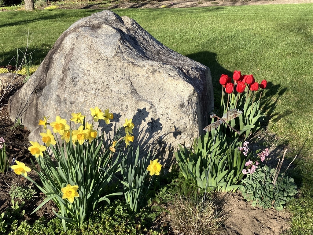 7 Rooks Way Westford, MA 01886 - Photo 6 of 42