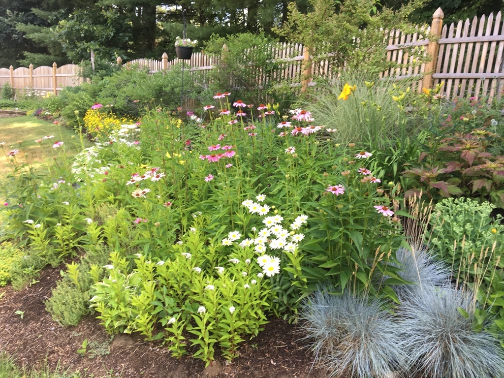 7 Rooks Way Westford, MA 01886 - Photo 8 of 42