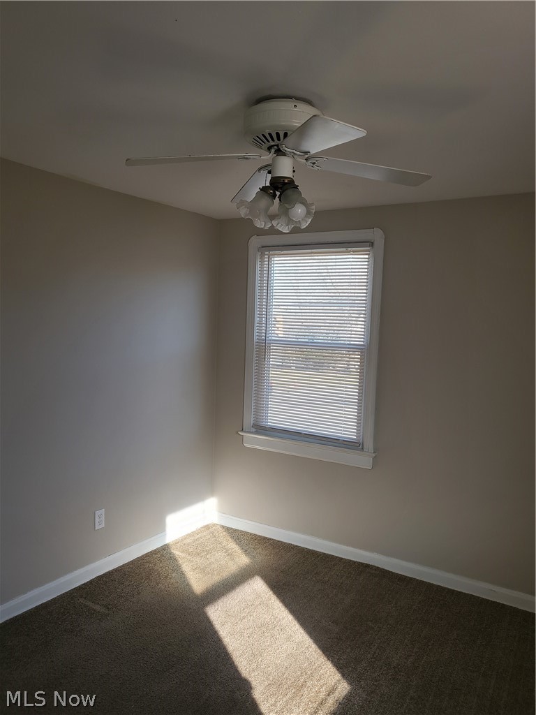 4365 Tiedeman Road Cleveland, OH 44144 - Photo 12 of 17 Gallery Image 12