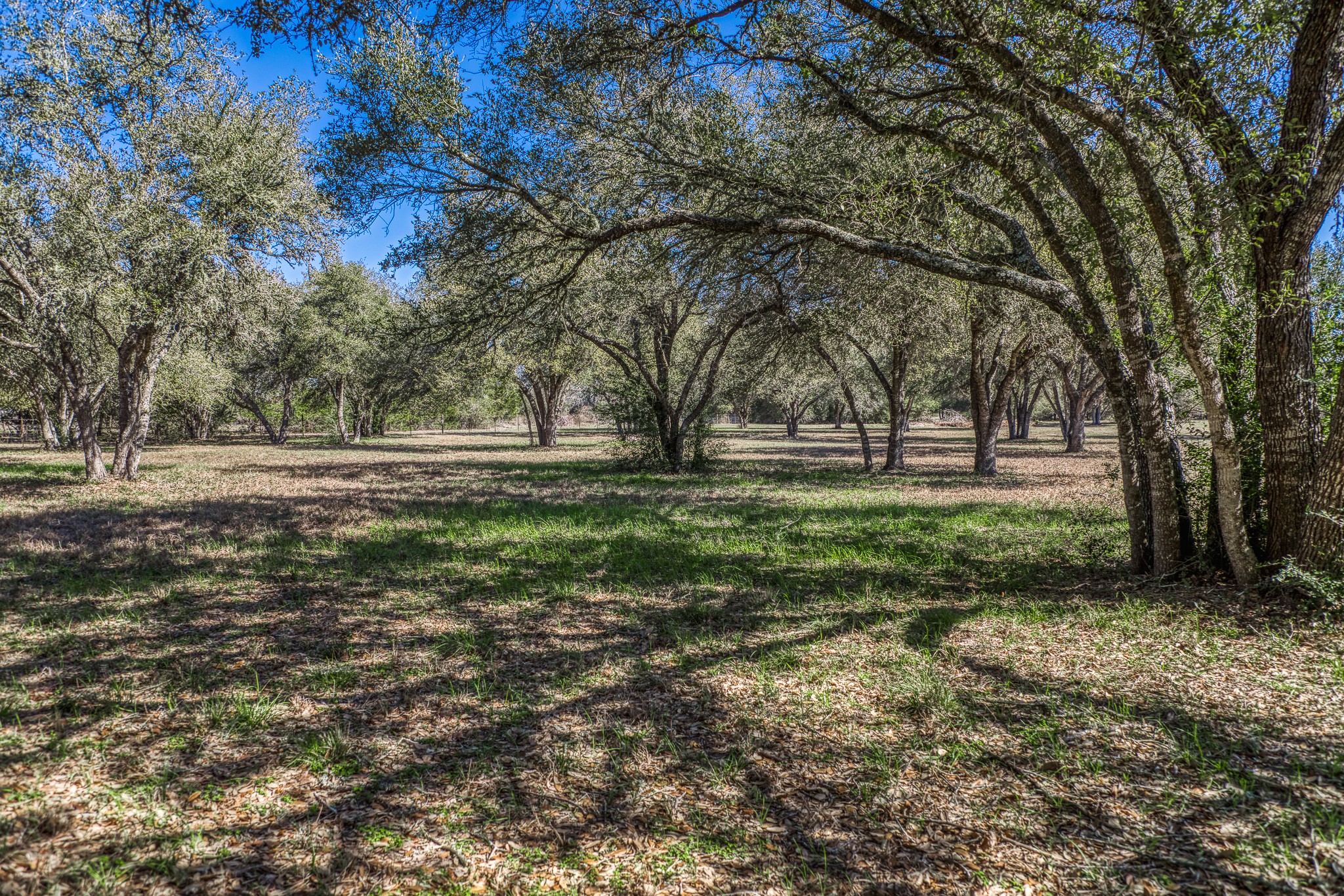 1585 Round Top Road Round Top, TX 78954 - Photo 27 of 30 a view of outdoor space with garden view