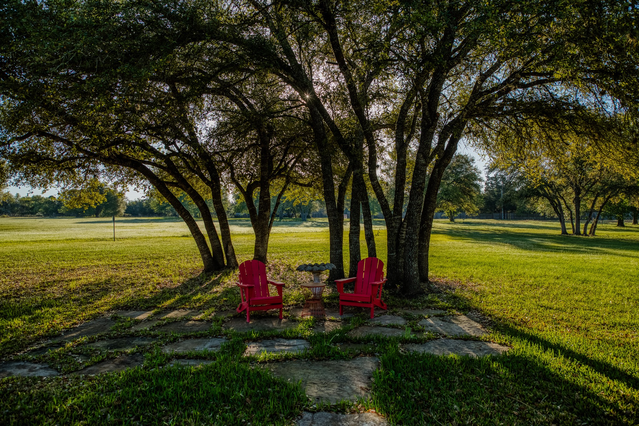 1585 Round Top Road Round Top, TX 78954 - Photo 29 of 30 a view of a park with large trees