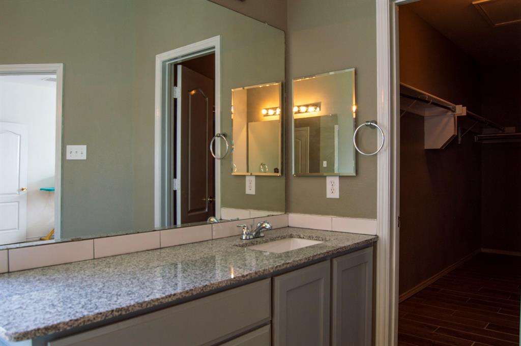 2700 Hereford Road Denton, TX 76210 - Photo 34 of 38 Bathroom featuring a spacious closet, vanity, and wood finish floors
