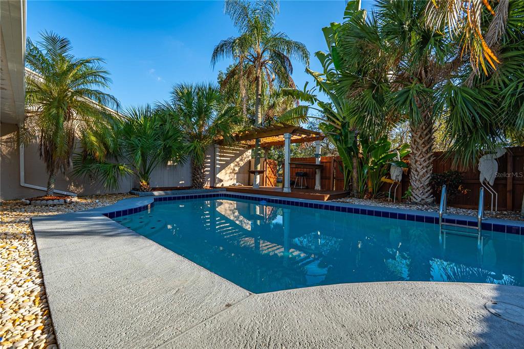 5124 Springwood Drive Tampa, FL 33624 - Photo 10 of 53 a view of swimming pool with a table and chairs