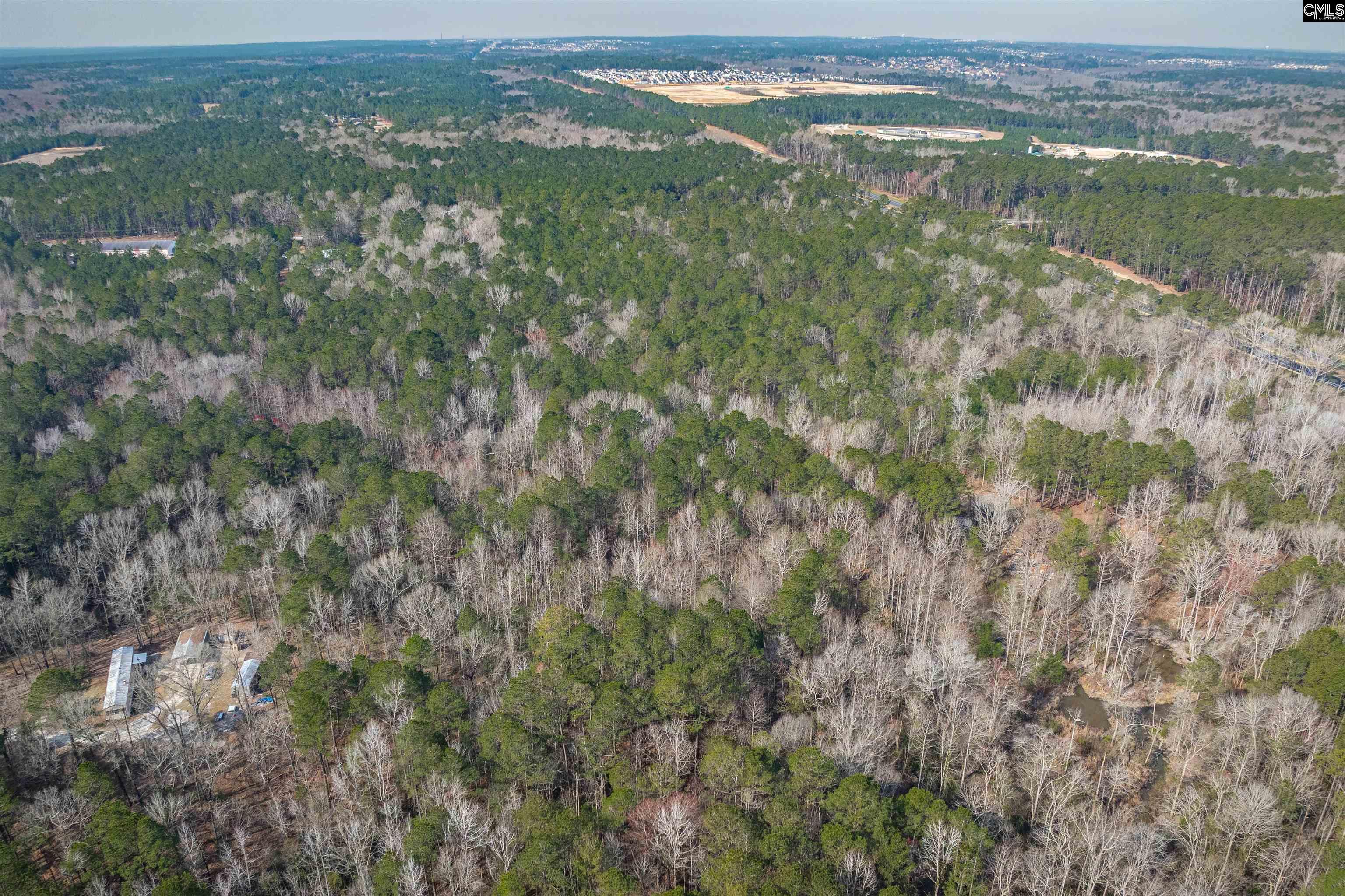 2070 Hwy Church Road Elgin, SC 29045 - Photo 3 of 14