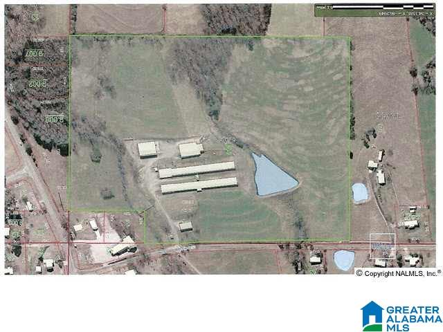 121 Black Bottom Road Boaz, AL 35956 - Photo 3 of 16