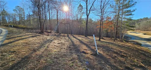 a backyard of a house with a trees