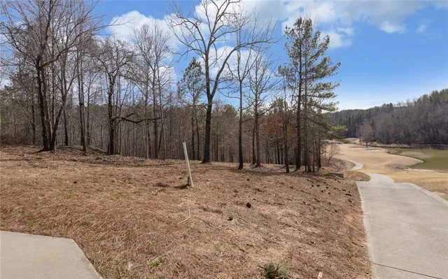 a view of a yard with trees