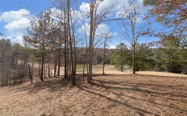 a backyard of a house with lots of trees