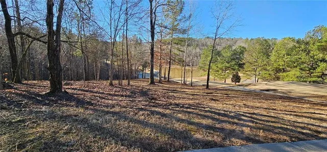 a view of a tree with a yard