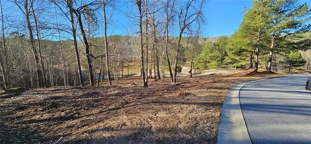 a view of a backyard of the house