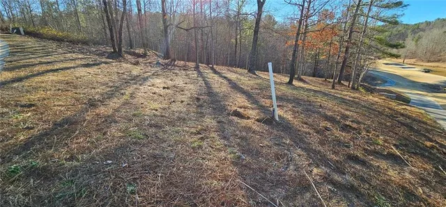a backyard of a house with trees and covered with snow