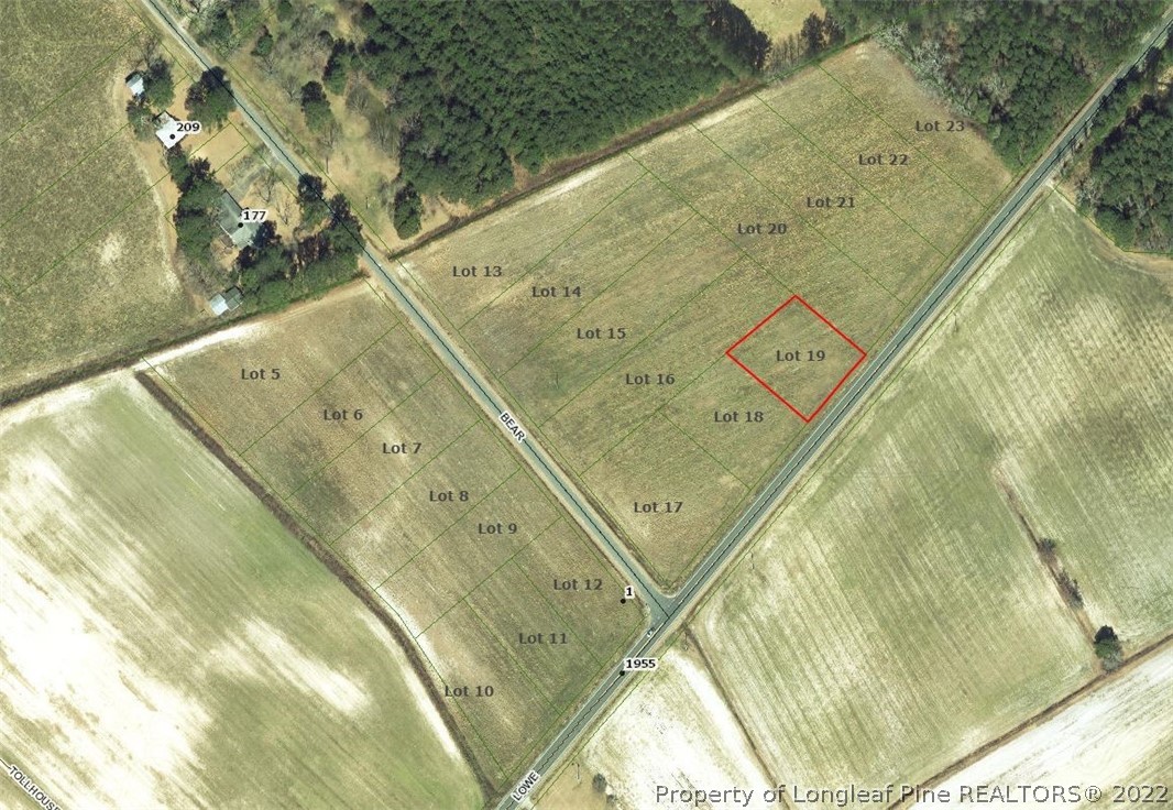 Lot 19 Lowe Road Lumberton, NC 28360 - Photo 1 of 2 Gallery Image 1