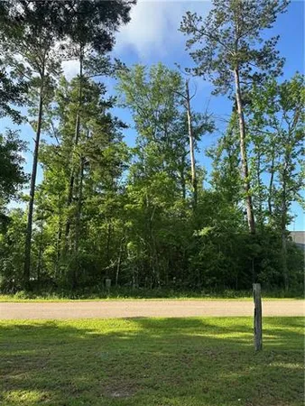 $49,900 | Lot 15 Ponchatrain Drive, Springfield, LA 70462