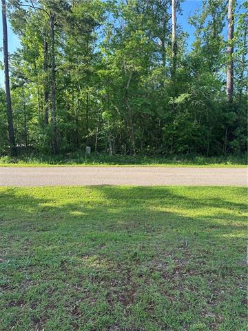 Lot 15 Ponchatrain Drive Springfield, LA 70462 - Photo 2 of 2