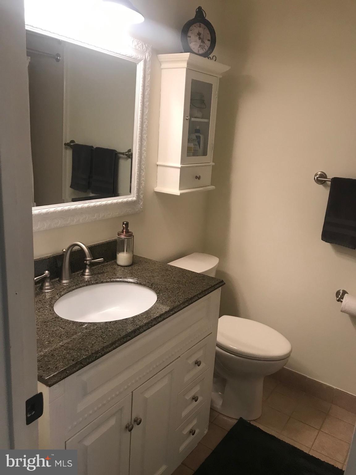 7504 Miller Fall Road Rockville, MD 20855 - Photo 23 of 30 Renovated Second Full Bath