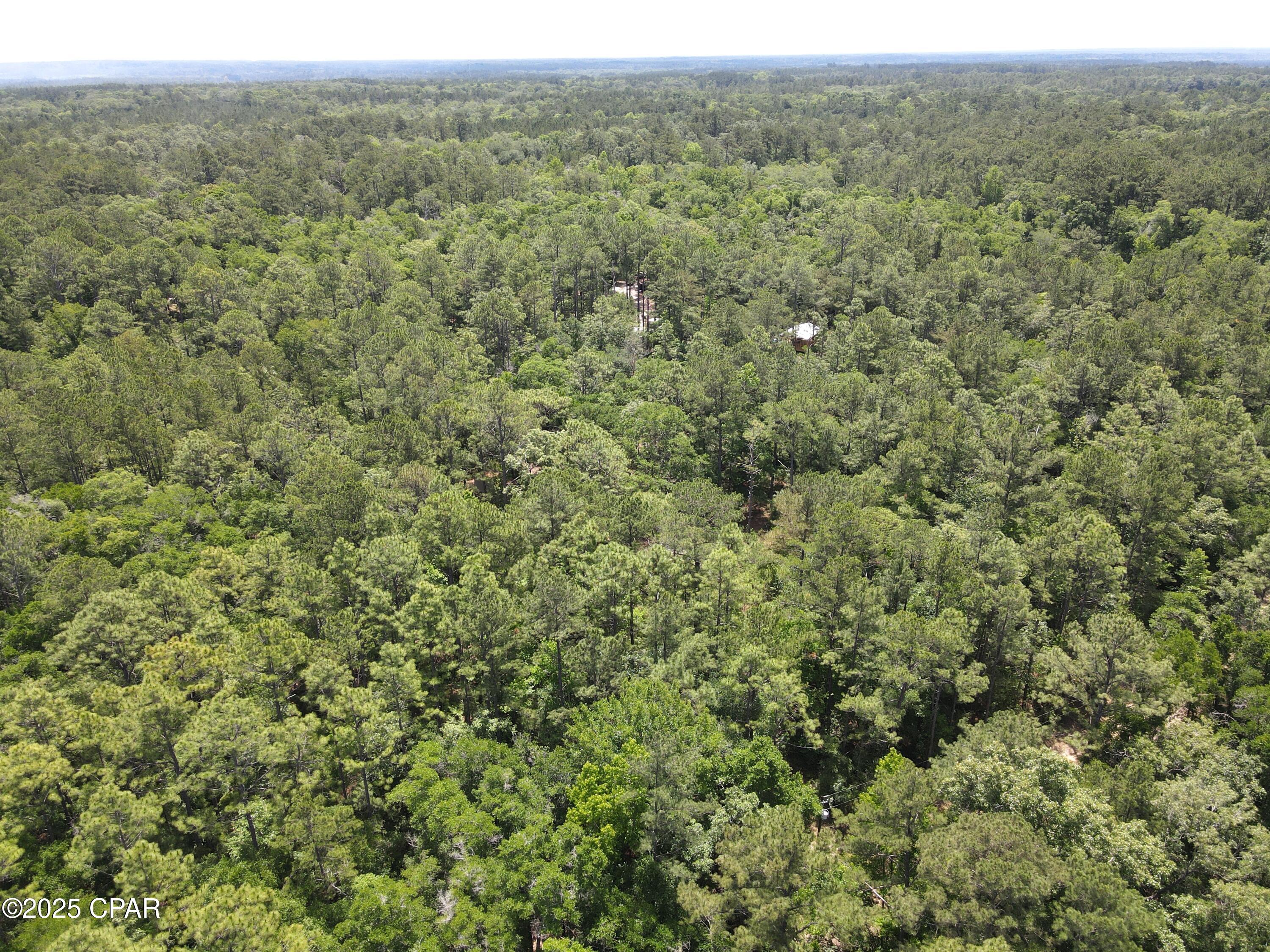 5266 Choctaw Road Vernon, FL 32462 - Photo 1 of 16