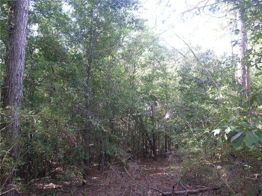 Tract C Blackjack Road, Unit WESTMINSTER Westminster, SC 29693 - Photo 1 of 10 Gallery Image 1