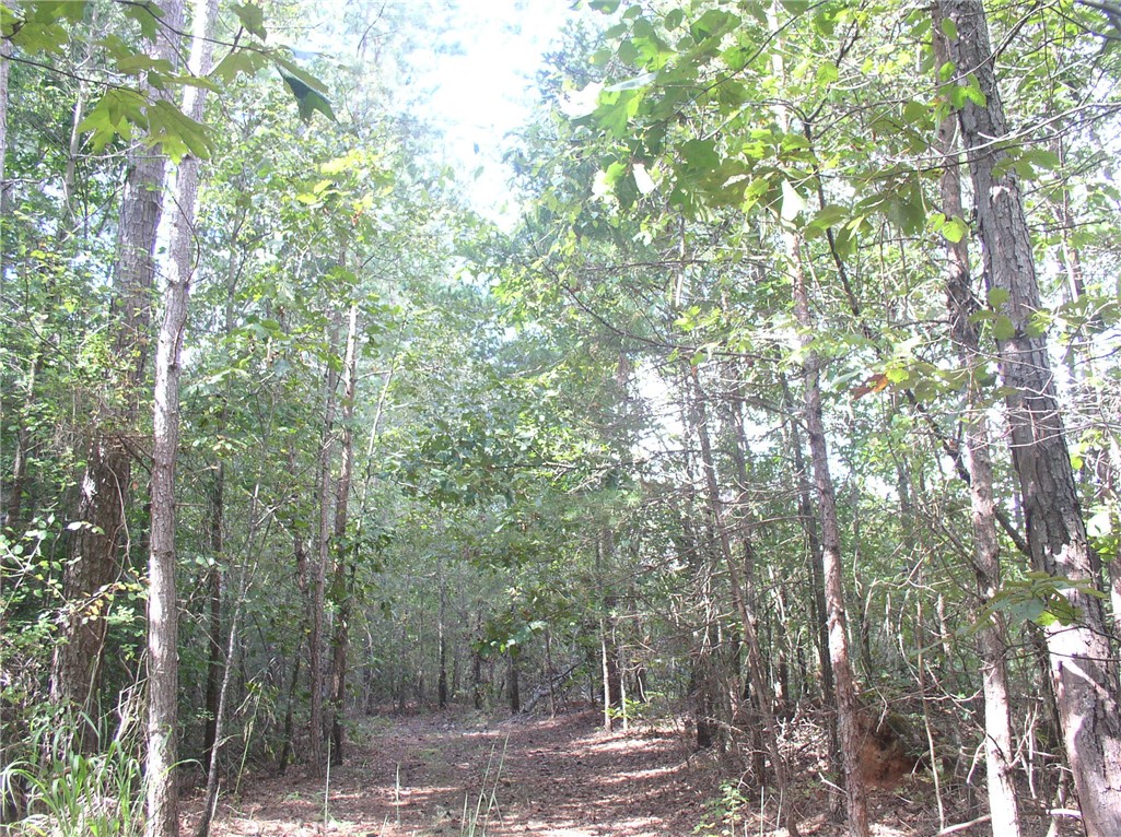Tract C Blackjack Road, Unit WESTMINSTER Westminster, SC 29693 - Photo 3 of 10 Gallery Image 3
