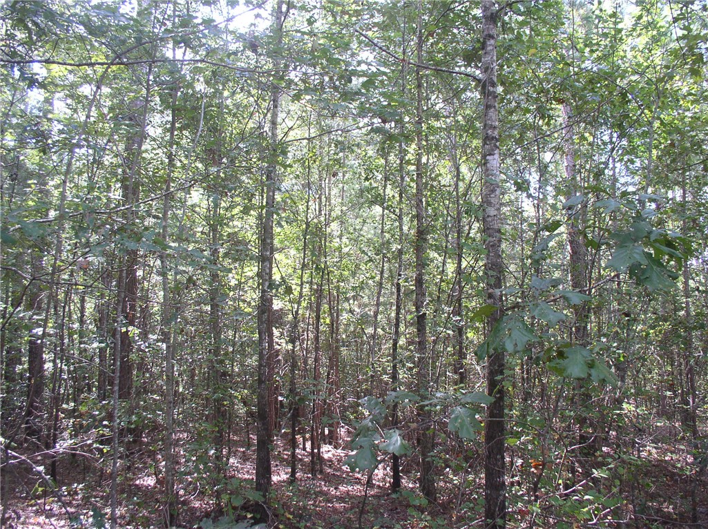 Tract C Blackjack Road, Unit WESTMINSTER Westminster, SC 29693 - Photo 5 of 10 Gallery Image 5