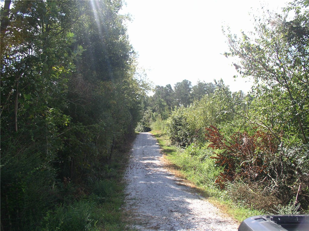 Tract C Blackjack Road, Unit WESTMINSTER Westminster, SC 29693 - Photo 8 of 10 Gallery Image 8