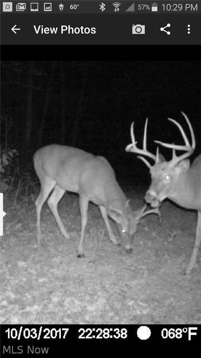 2531 Ridge Road Zanesville, OH 43701 - Photo 14 of 14
