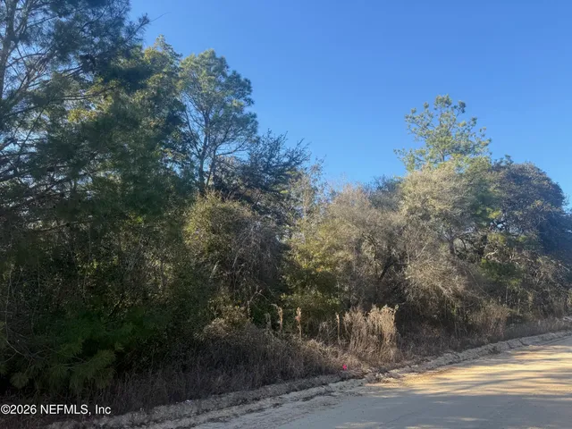 $25,000 | 147 Nettles Road, Florahome, FL 32140