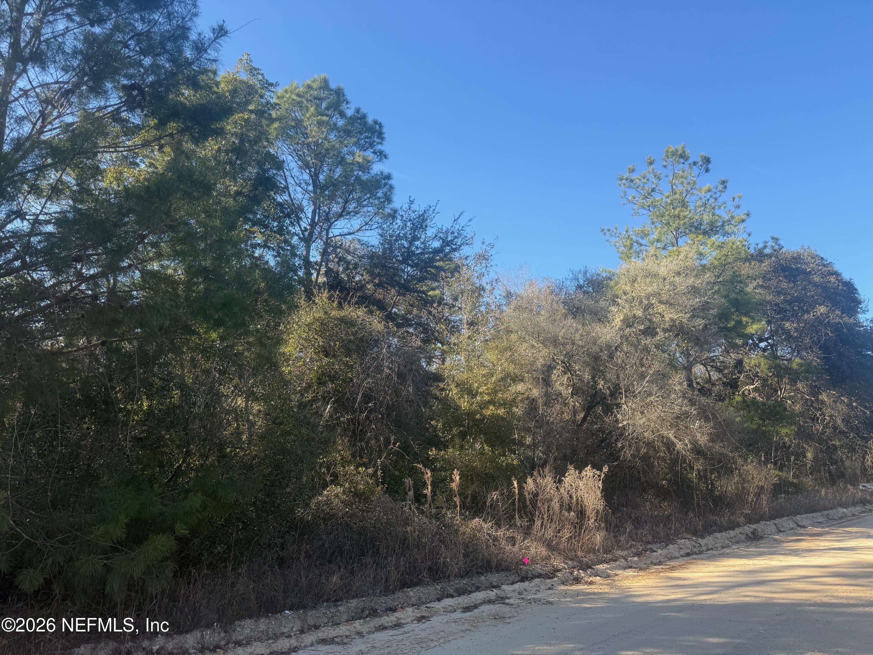 a view of a yard of a house