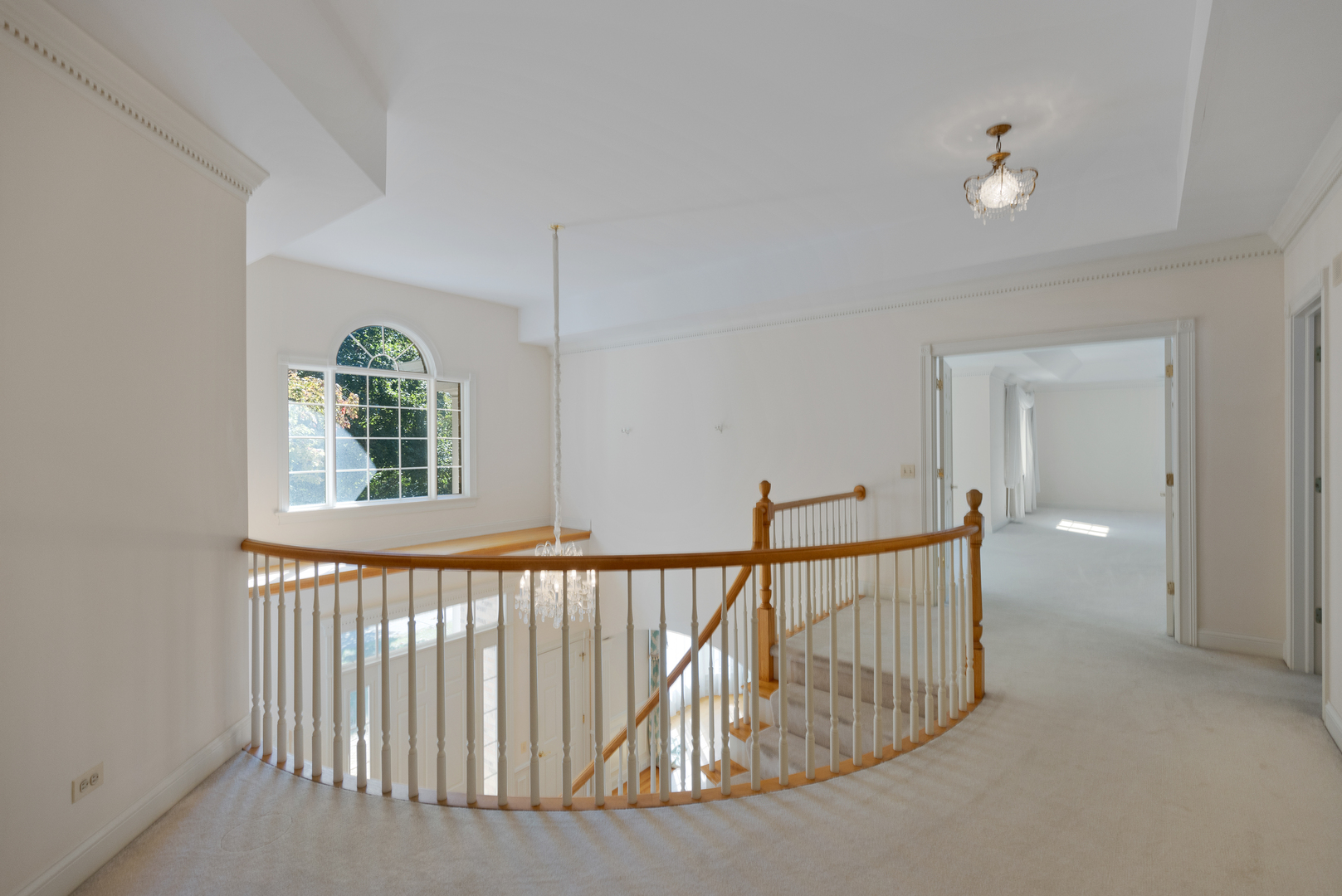 1011 Penny Lane Wheaton, IL 60189 - Photo 17 of 39