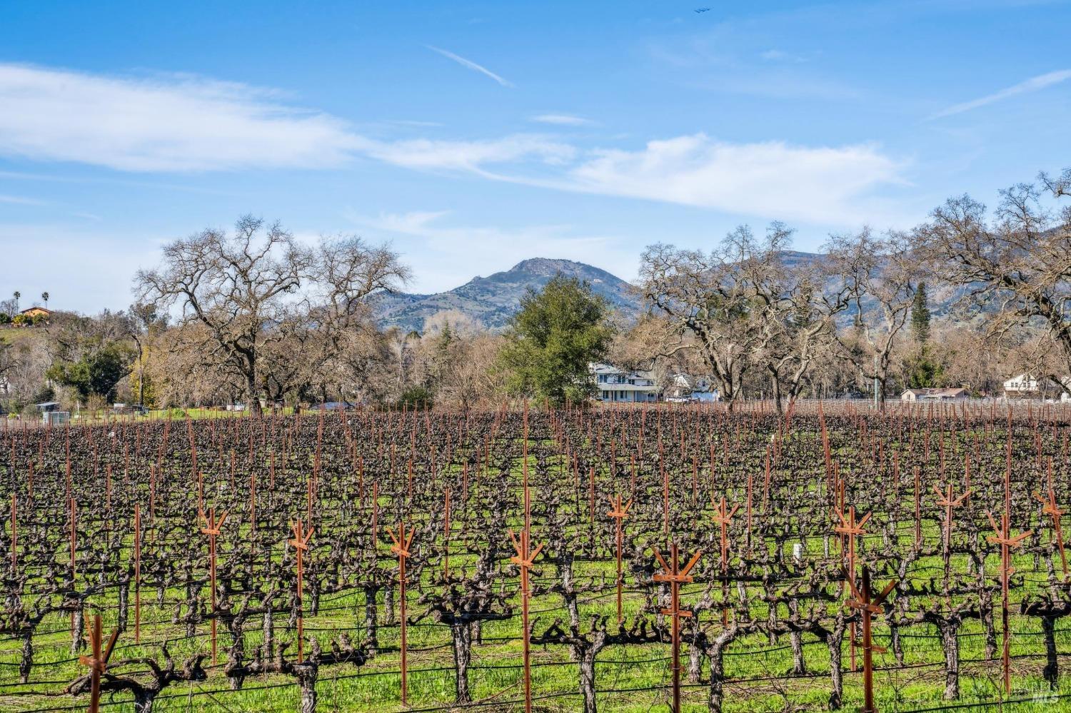 1180 Monticello Road Napa, CA 94558 - Photo 41 of 64