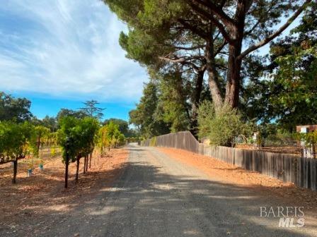 1180 Monticello Road Napa, CA 94558 - Photo 52 of 64