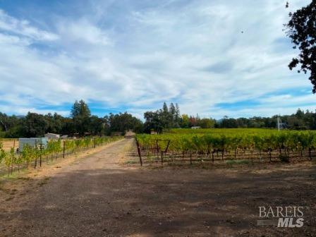 1180 Monticello Road Napa, CA 94558 - Photo 55 of 64