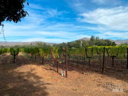 1180 Monticello Road Napa, CA 94558 - Photo 57 of 64