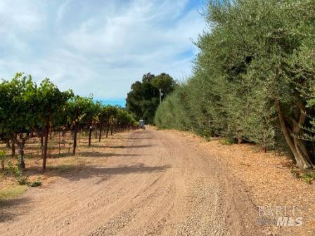 1180 Monticello Road Napa, CA 94558 - Photo 61 of 64