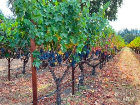 1180 Monticello Road Napa, CA 94558 - Photo 63 of 64