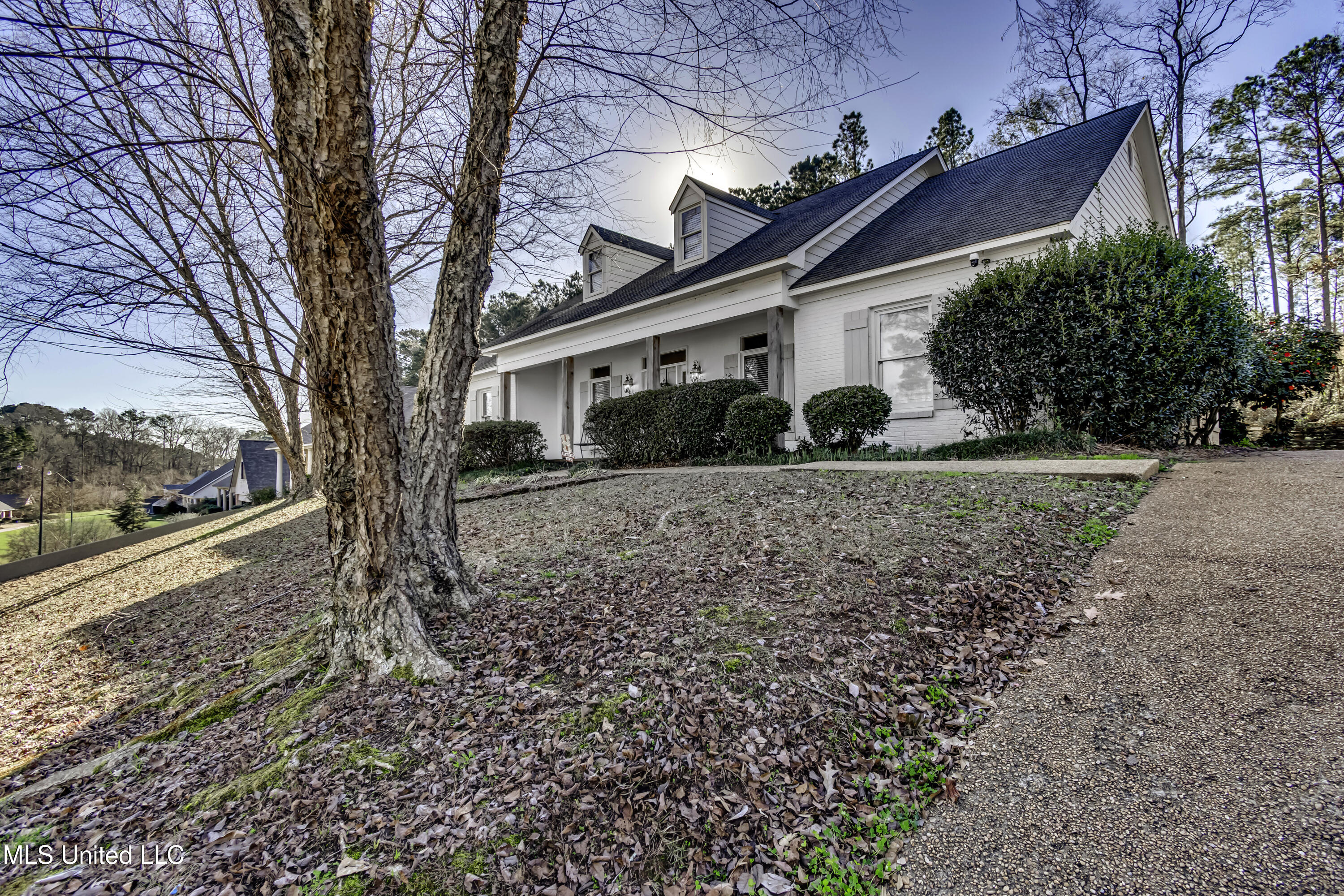 551 Cliffview Drive Brandon, MS 39047 - Photo 4 of 46 551 Cliffview Dr--7