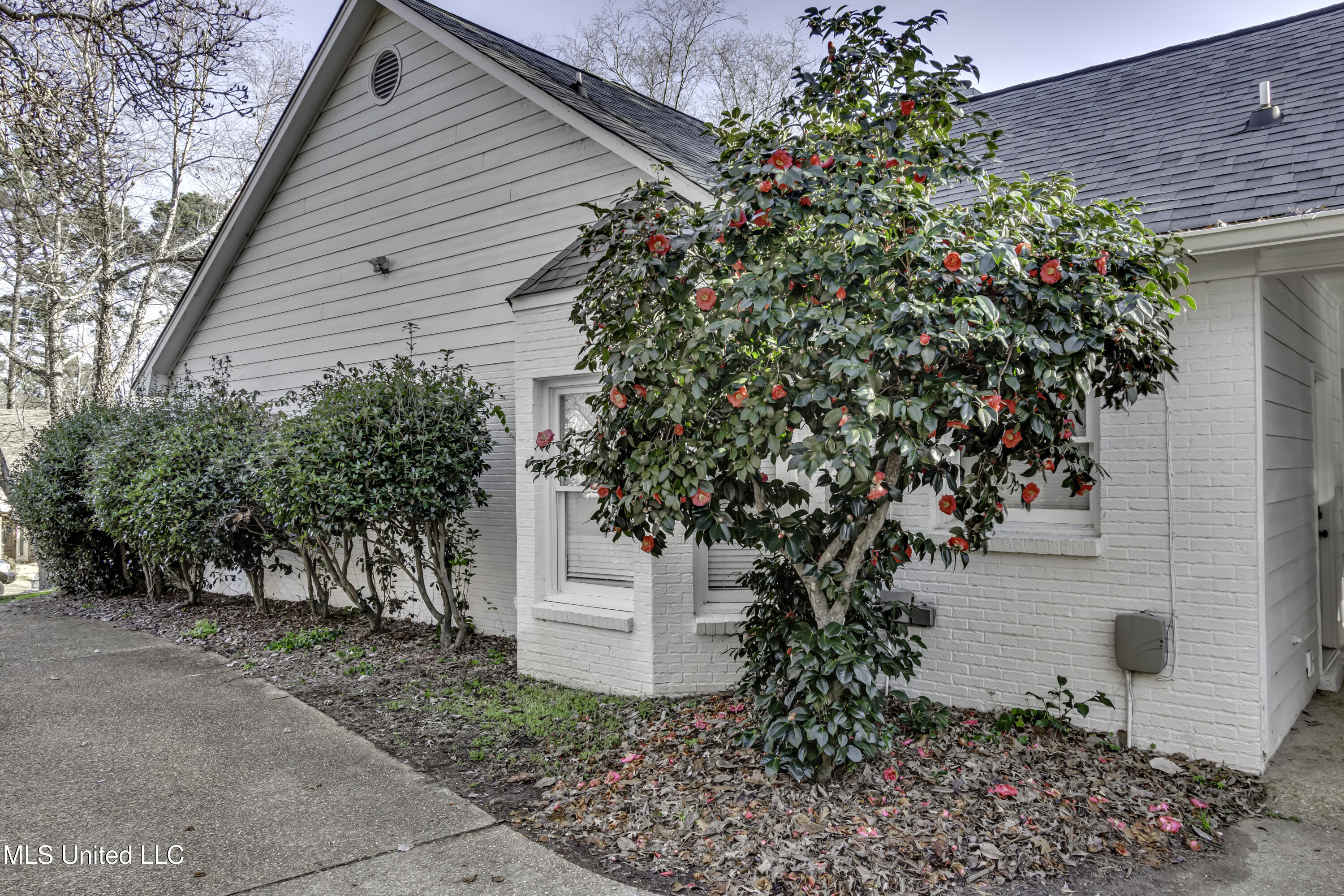 551 Cliffview Drive Brandon, MS 39047 - Photo 5 of 46 551 Cliffview Dr--8