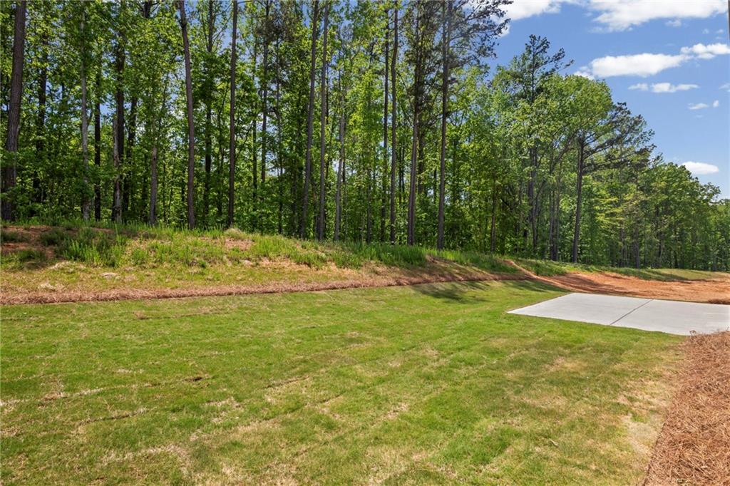 239 Sage Woods Way Dallas, GA 30132 - Photo 39 of 45