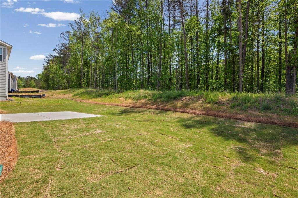 239 Sage Woods Way Dallas, GA 30132 - Photo 40 of 45