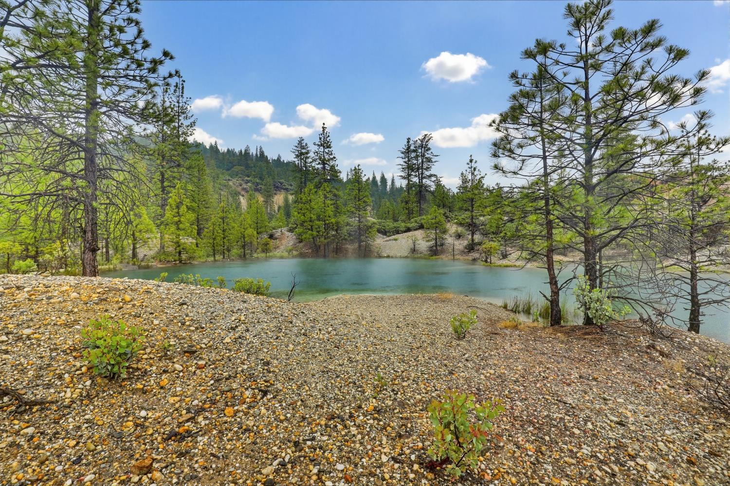 13751 Sailor Flat Road Nevada City, CA 95959 - Photo 2 of 49