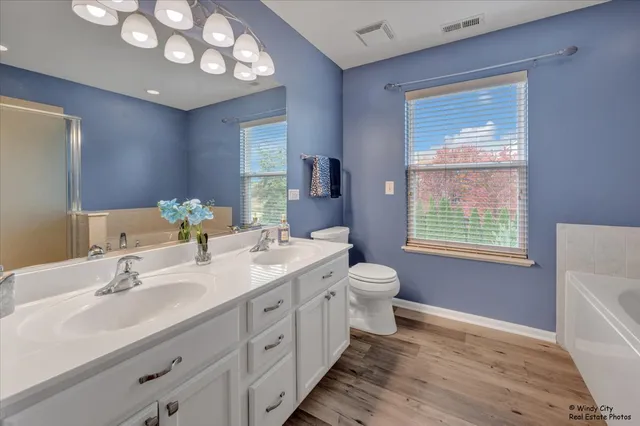 $479,000 | 316 Gregory M Sears Drive, Gilberts, IL 60136