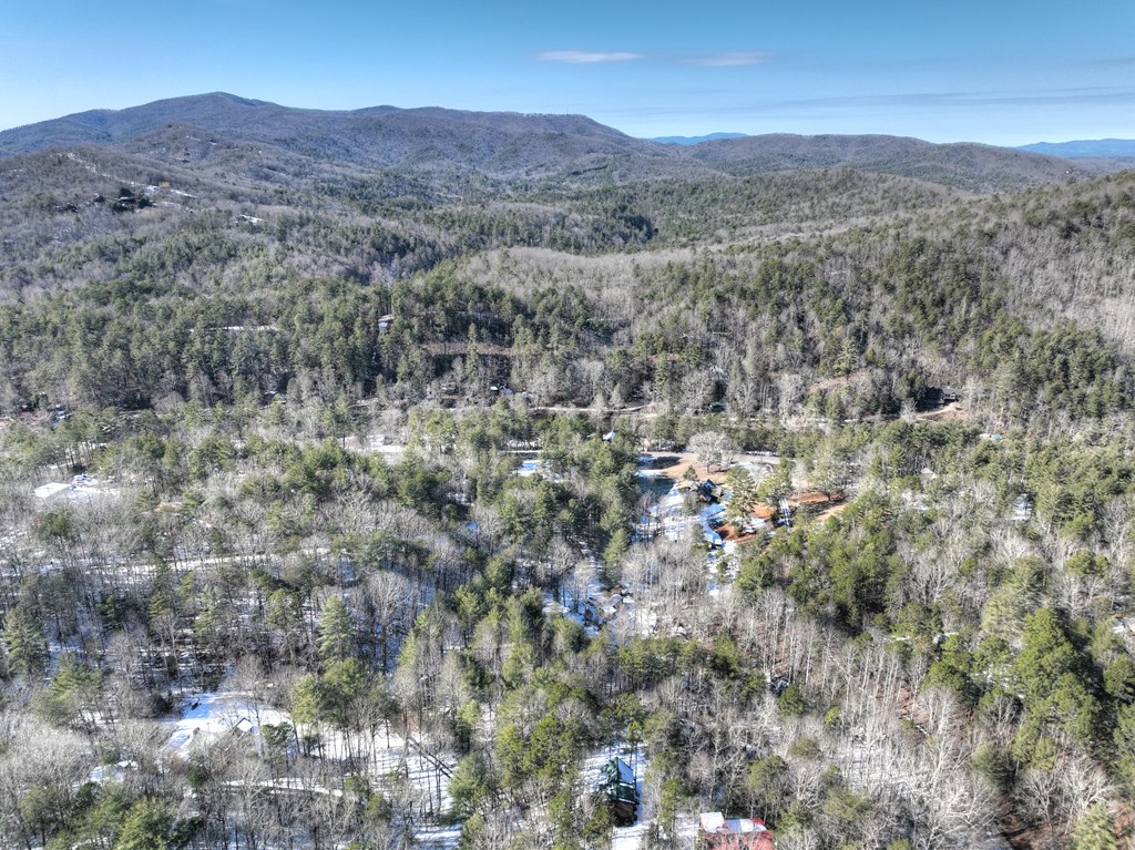 176 White Tail Ridge Blue Ridge, GA 30513 - Photo 48 of 51 Gallery Image 48