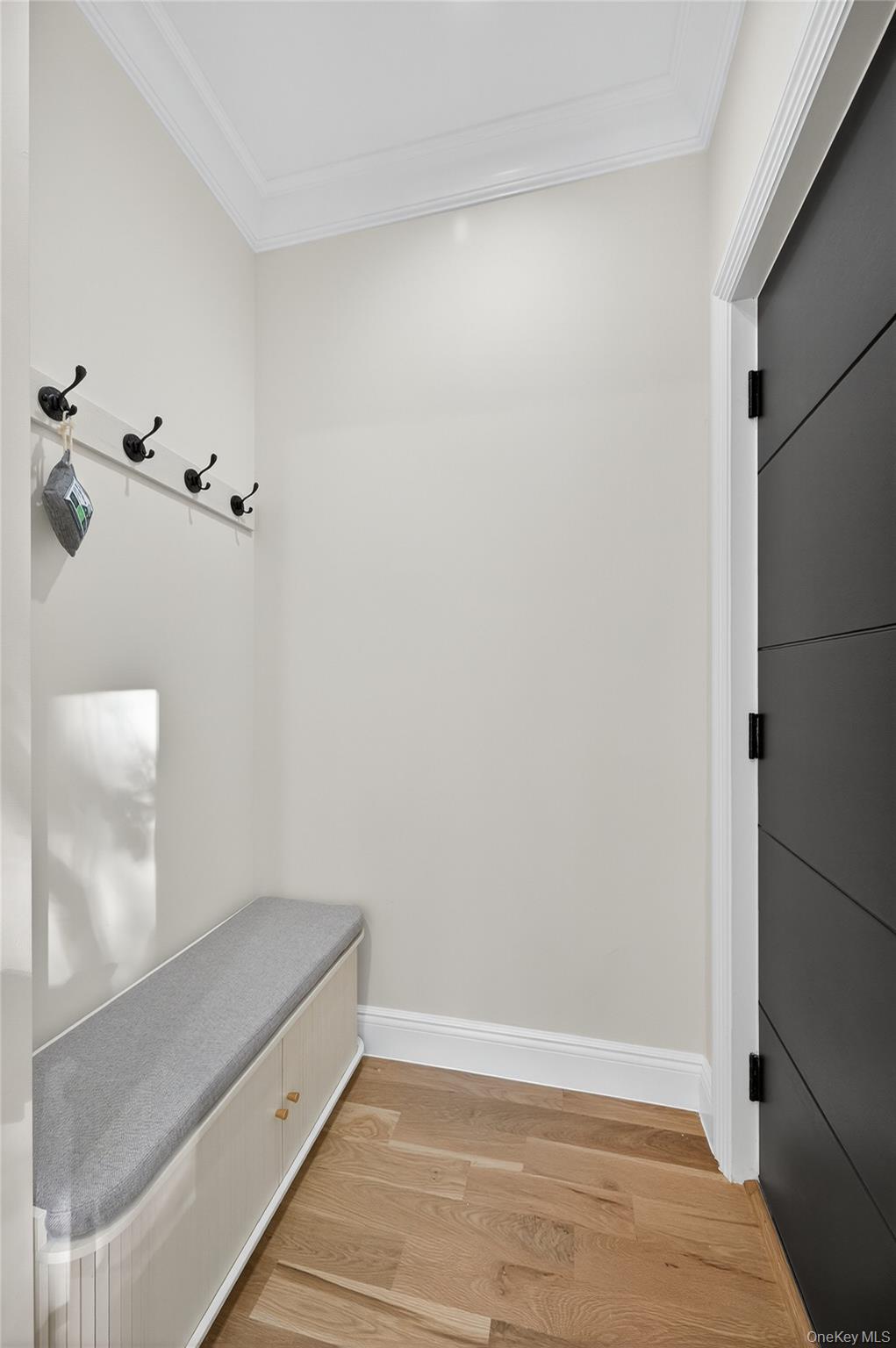 80 Clapham Avenue Manhasset, NY 11030 - Photo 15 of 31 Mudroom featuring ornamental molding and light wood finished floors