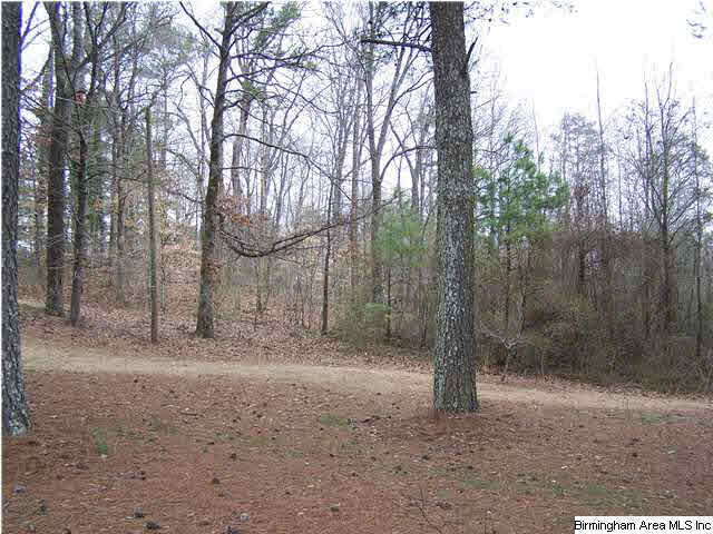 1194 Robin Hill Road Oneonta, AL 35121 - Photo 27 of 29 Gallery Image 27