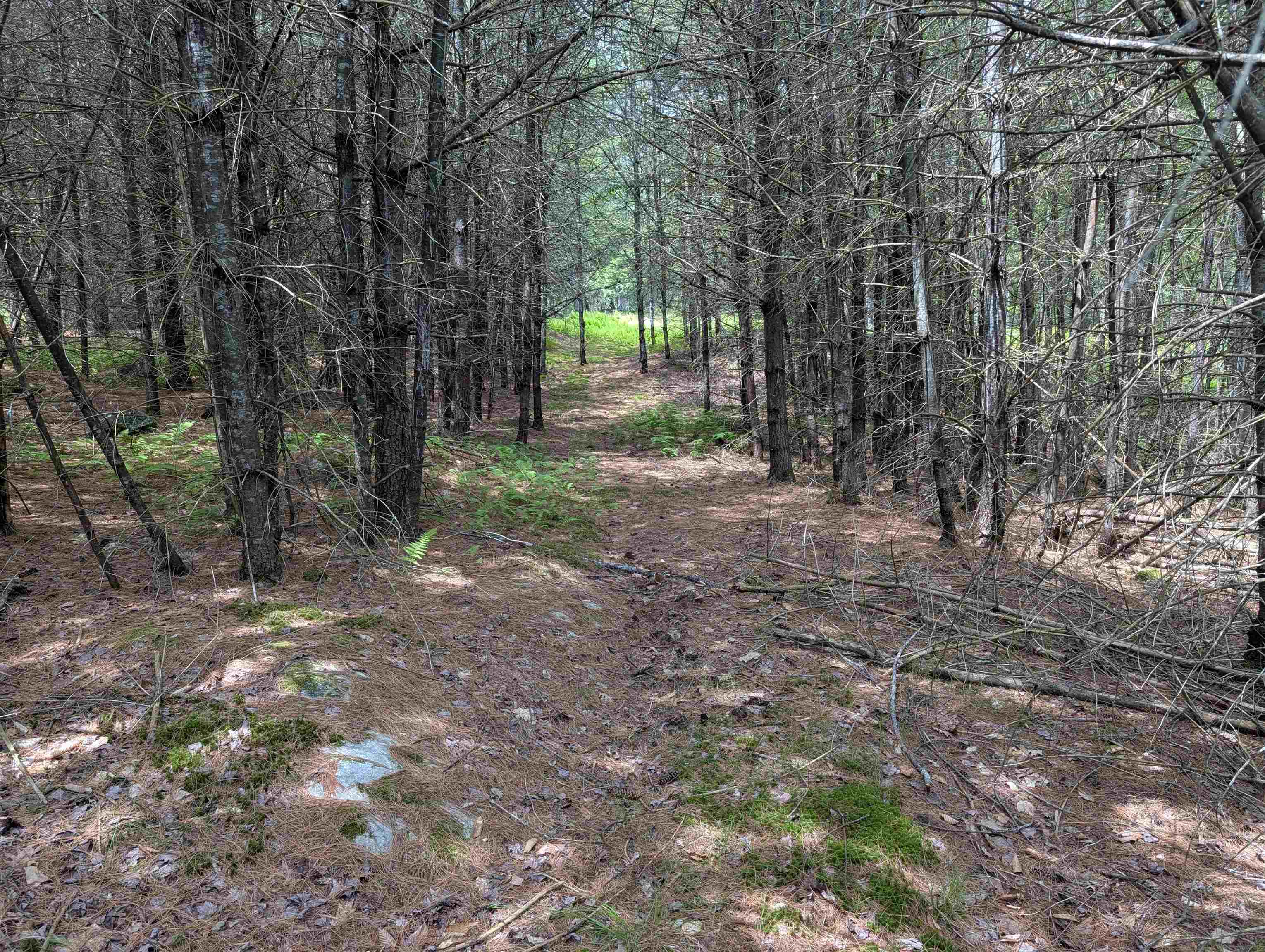 70 High Ridge Road Moultonborough, NH 03254 - Photo 31 of 37
