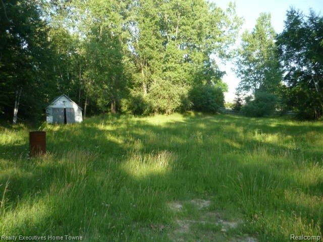 5222 Hackman Road Capac, MI 48014 - Photo 12 of 14 P1170520.JPG
