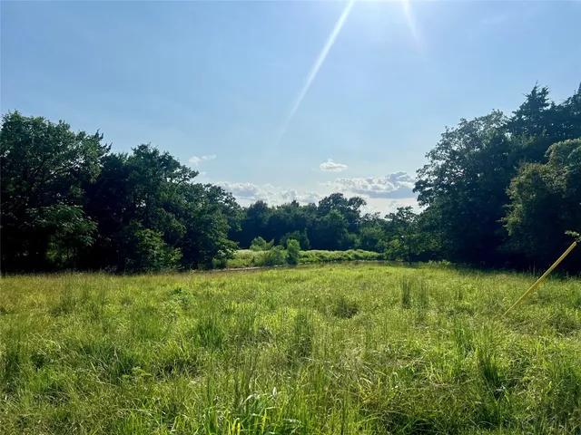 a view of grassy field with trees